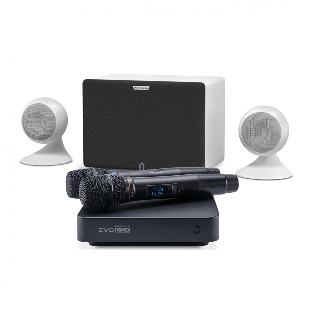 караоке-комплект EVOBOX Classic + EvoSound Sphere 2.1 в Белорецке