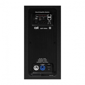 Активная акустическая система AST-310A в Белорецке