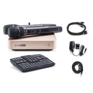 EVOBOX Classic караоке-система для дома в Белорецке